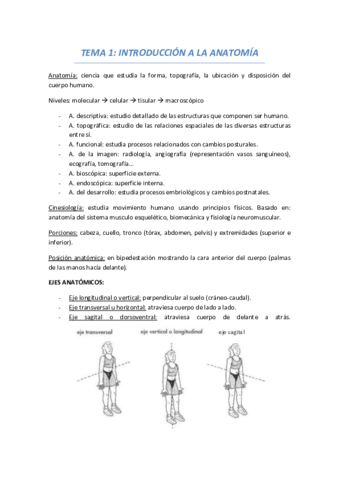 TEMA 1 INTRO.pdf