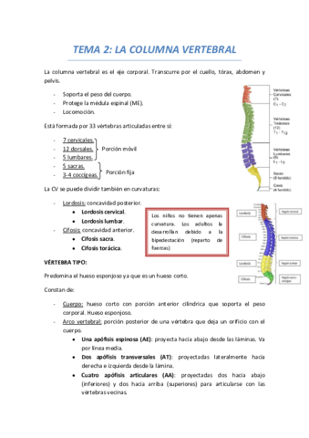 TEMA 2 COLUMNA VERTEBRAL.pdf