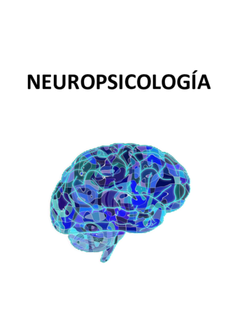 Teoría Neuropsicología.pdf