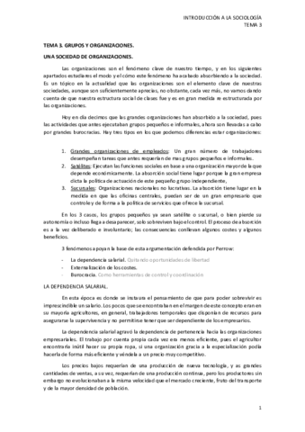 T3. GRUPOS Y ORGANIZACIONES.pdf