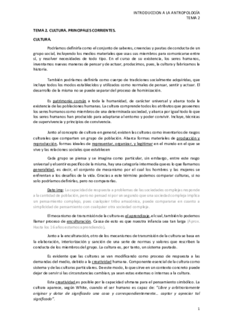 T2. CULTURA. PRINCIPALES CORRIENTES.pdf