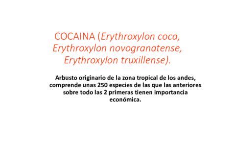 Cocaina anfetaminas y drogas de diseño.pdf