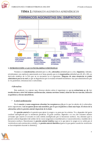 TEMA 2 FÁRMACOS AGONISTAS ADRENÉRGICOS.pdf