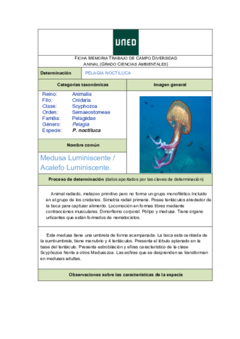 FICHA PELAGIA NOCTILUCA diversidad animal amb.pdf.pdf
