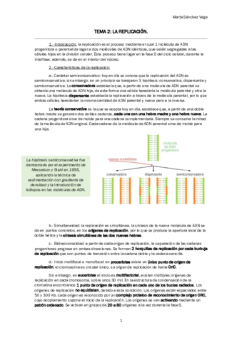 TEMA 2 LA REPLICACIÓN.pdf