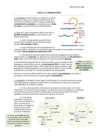TEMA 3 LA TRANSCRIPCIÓN.pdf