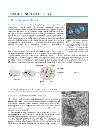 Dinámica_Tema 8.pdf