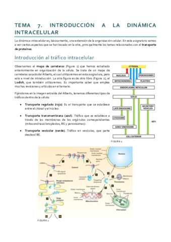 Dinámica_Tema 7.pdf
