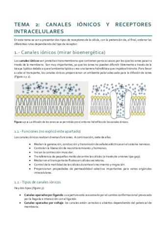 Dinámica_Tema 2.pdf
