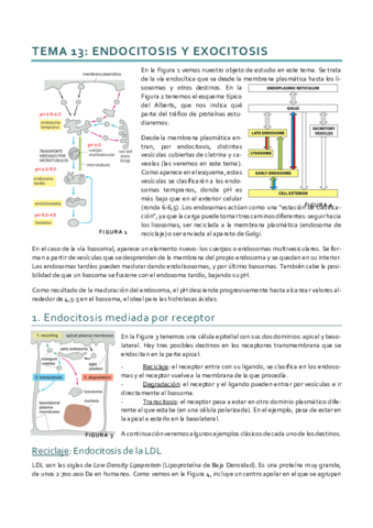 Dinámica_Tema 13.pdf