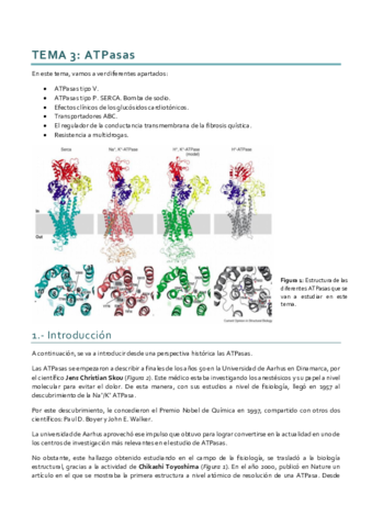 Bioenergética_Tema 3.pdf