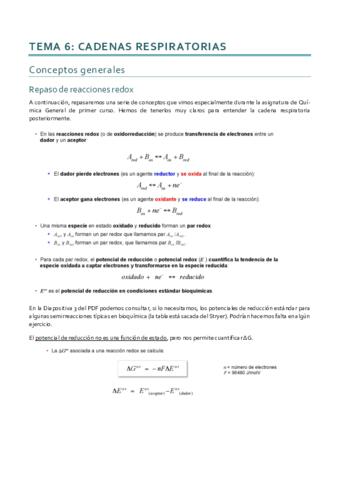 Bioenergética_Tema 6.pdf