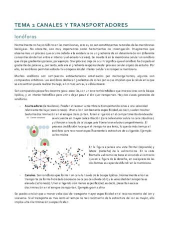 Bioenergética_Tema 2.pdf