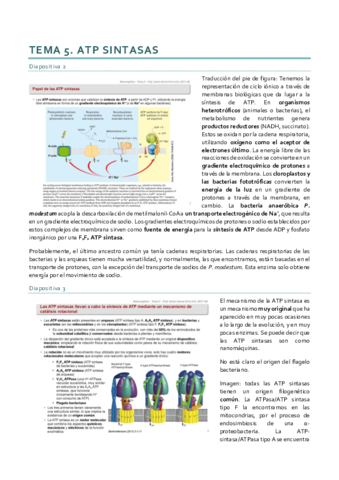 Bioenergética_Tema 5.pdf