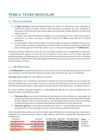 Histología_Tema 6 I.pdf