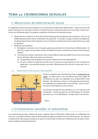 Genética_Tema 11.pdf