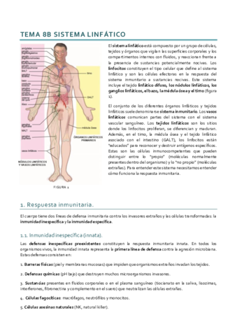 Histología_Tema 8B.pdf