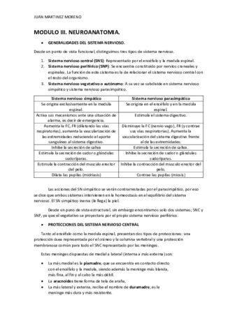 III. Neuroanatomia..pdf