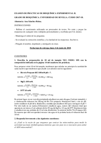 Practicas Bioquimica II.pdf