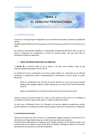 TEMA 1 DERECHO PENITENCIARIO.pdf