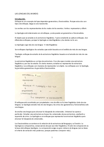 Lenguas del mundo..pdf