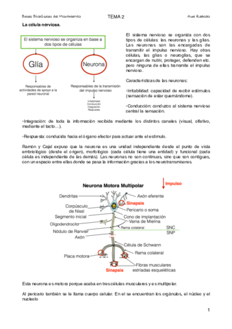 Tema 2. Sistema nervioso.pdf