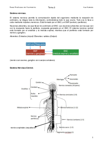 Tema 3. Sistema nervioso..pdf