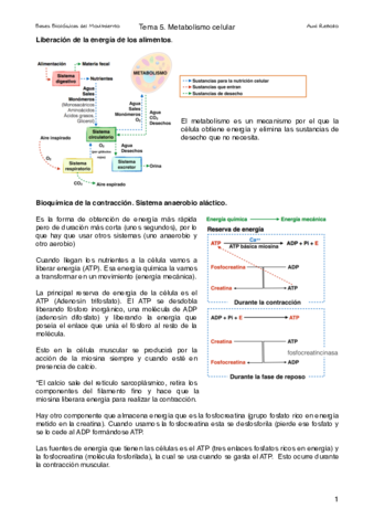 Tema 5. Metabolismo.pdf