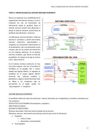 Tema 4. Farmacología del sistema nervioso periférico.pdf