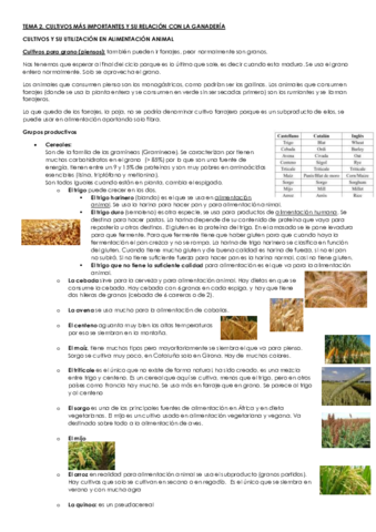 Tema 2 Cultivos mas importantes y su relación con la ganaderia.pdf