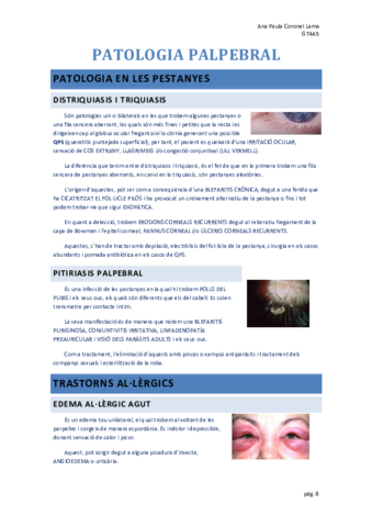 1.-Patologies palpebrals.pdf