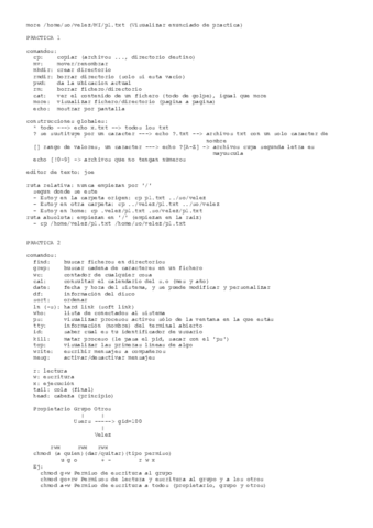 Practicas APSO Apuntes.pdf