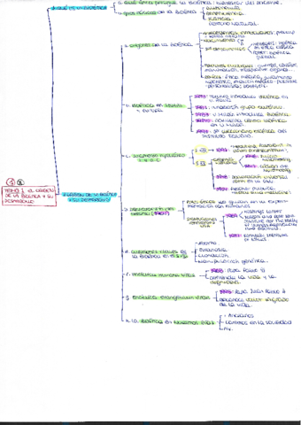 Esquemas temas.pdf