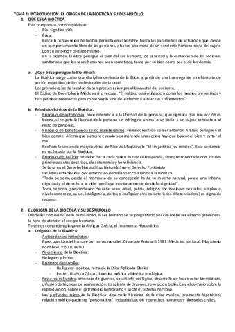 Temas en Word.pdf