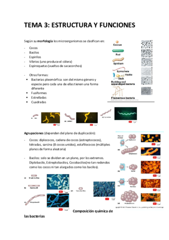 3 Microbiologia.pdf