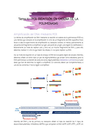 Tema 4 - PCR.pdf