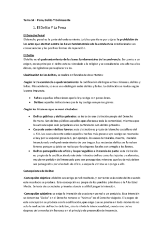 Tema 14 - Pena- Delito Y Delincuente.pdf