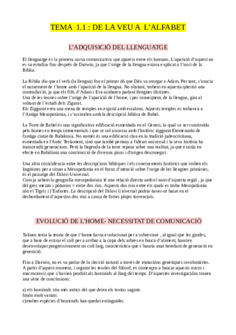 TEMA 1 HISTÒRIA.pdf