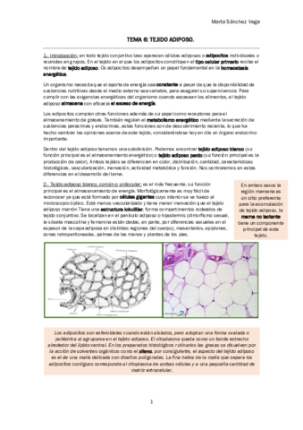 TEMA 6 TEJIDO ADIPOSO.pdf
