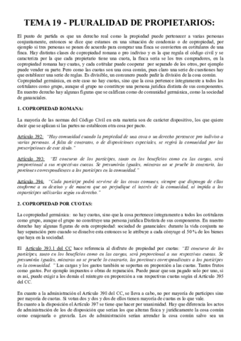 Tema 19.pdf