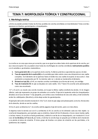 TEMA 7 PALEO final.pdf