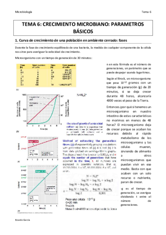 TEMA 6 MICRO final.pdf