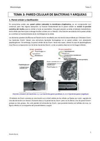 TEMA 3 MICRO final.pdf