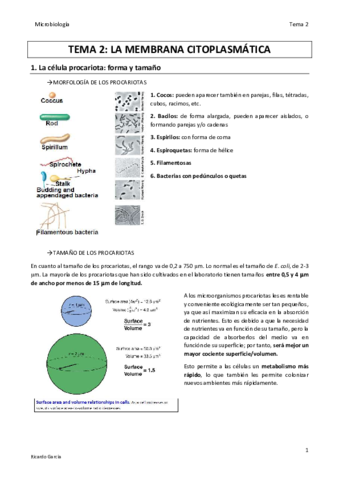 TEMA 2 MICRO final.pdf