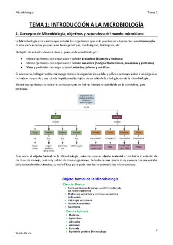 TEMA 1 MICRO final.pdf