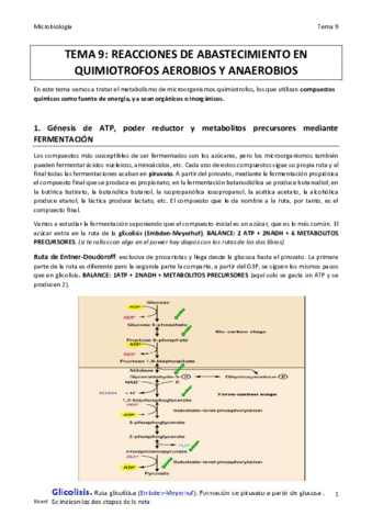 TEMA 9 MICRO COLOR final.pdf