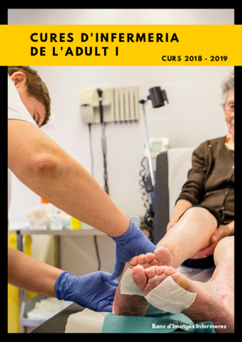 Apunts Adult 1 2018 - 2019 (2n 1r semestre).pdf