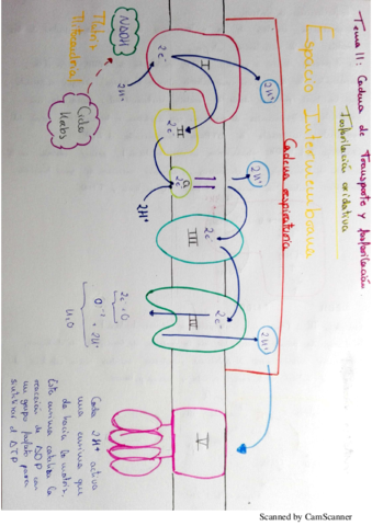 NuevoDocumento 2018-06-12.pdf