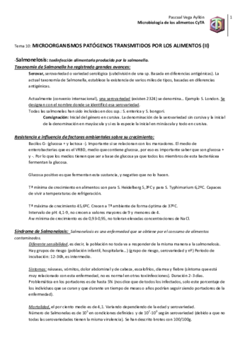 Tema 10 MicroB.pdf
