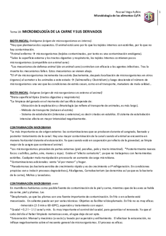 Tema 18 MicroB.pdf